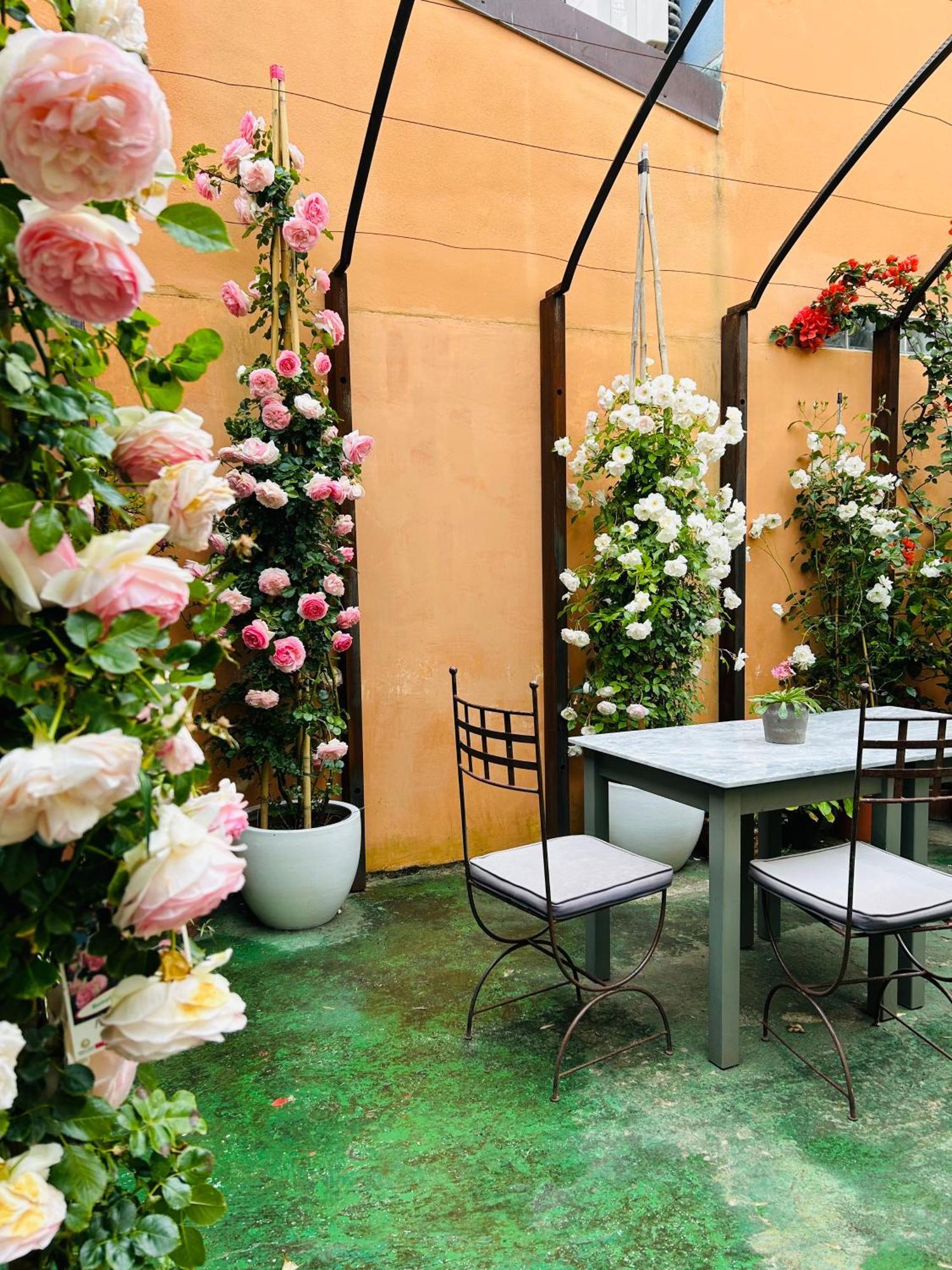 Art Hotel פיאטרה סנטה מראה חיצוני תמונה